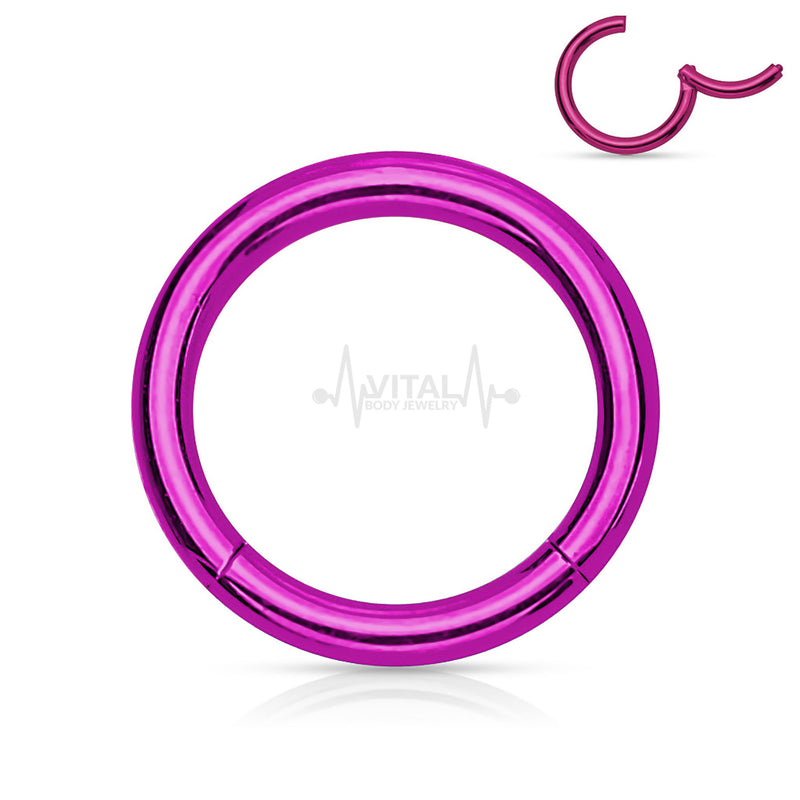 18G Titanium Septum Ring - Hinged Segment Design