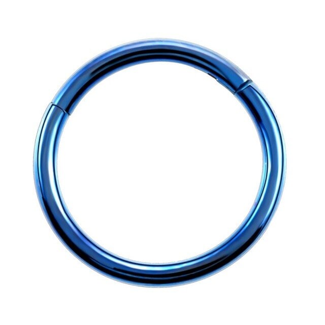 Titanium Nose Ring, 16G, Septum Ring, Earring, Seamless, Segment Hinged Hoop Vital Body Jewelry
