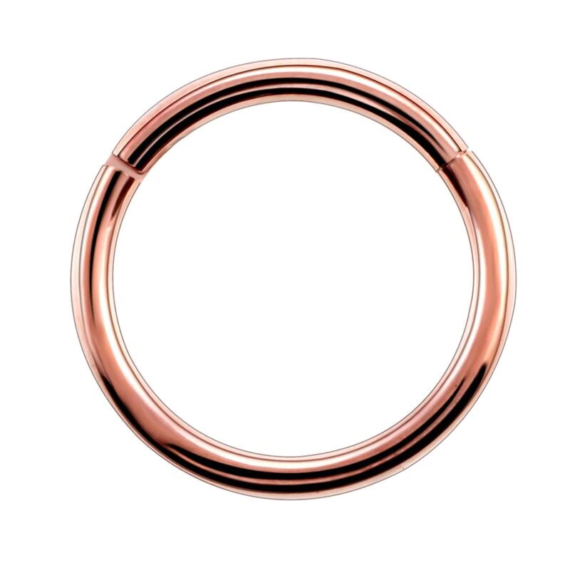 Titanium Nose Ring, 16G, Septum Ring, Earring, Seamless, Segment Hinged Hoop Vital Body Jewelry