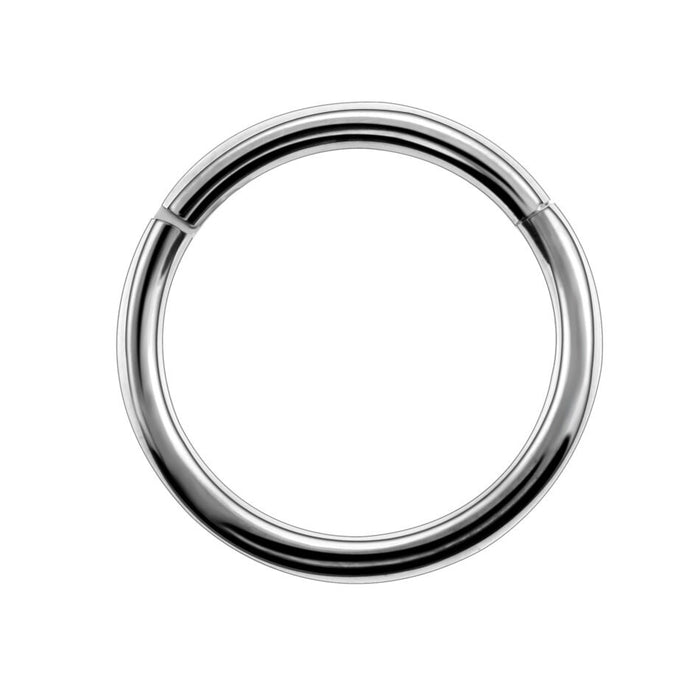 Titanium Nose Ring, 16G, Septum Ring, Earring, Seamless, Segment Hinged Hoop Vital Body Jewelry