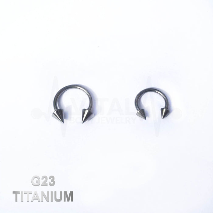 CZ Flat Disk Titanium Hinged Segment Captive Ring - Body Jewelry  Supermarkets