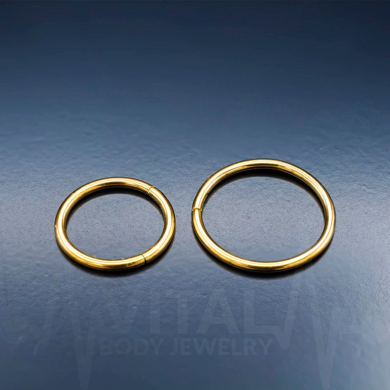 20G titanium hinged nose ring with seamless design for comfortable, irritation-free wear in nostril and septum piercings