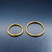Titanium Hinged Nose Ring, 20G, Septum Ring, Earring, Seamless, Segment Hoop • Vital Body Jewelry