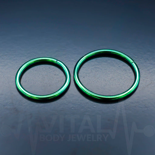 Titanium Hinged Nose Ring, 20G, Septum Ring, Earring, Seamless, Segment Hoop • Vital Body Jewelry