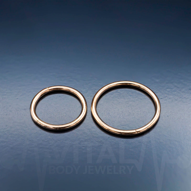 Titanium Hinged Nose Ring, 20G, Septum Ring, Earring, Seamless, Segment Hoop • Vital Body Jewelry
