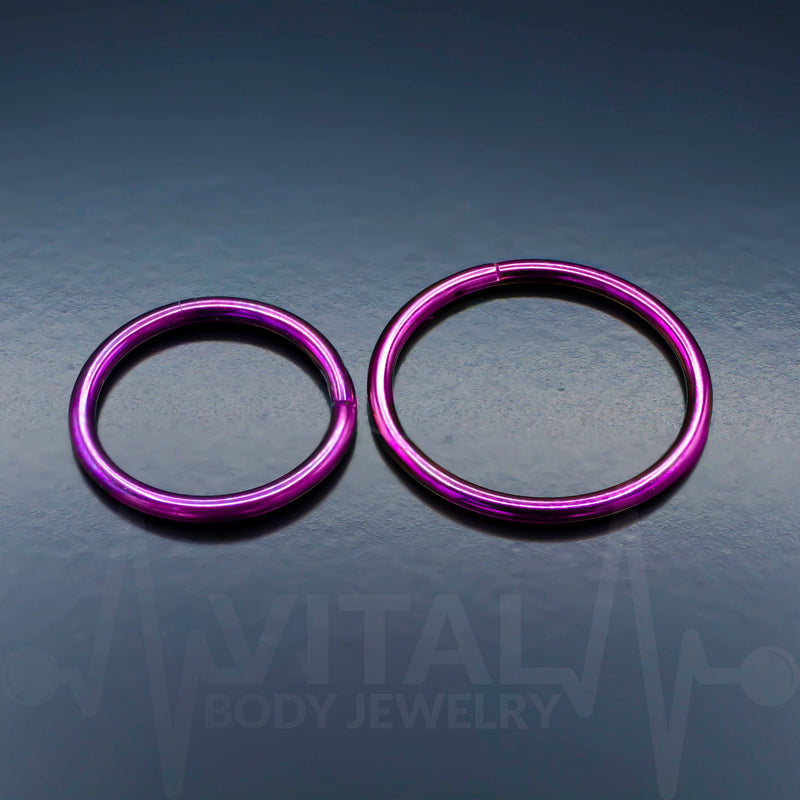 Titanium Hinged Nose Ring, 20G, Septum Ring, Earring, Seamless, Segment Hoop • Vital Body Jewelry