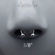 16G surgical steel septum ring in horseshoe design with 3mm ball ends, PVD coated for a sleek black finish.