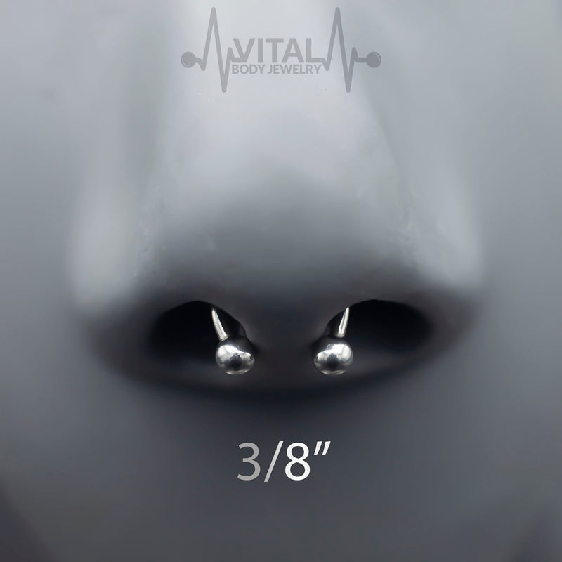 16G surgical steel septum ring in horseshoe design with 3mm ball ends, PVD coated for a sleek black finish.