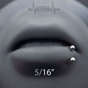 16G surgical steel septum ring in a horseshoe design with ball ends, featuring a durable PVD coated finish for long-lasting shine