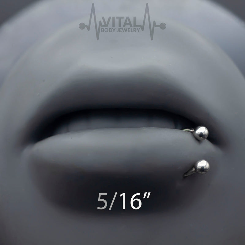 16G surgical steel septum ring in a horseshoe design with ball ends, featuring a durable PVD coated finish for long-lasting shine