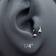 16G Septum Ring, Horseshoe, Curved Barbell, Circular Bent with Balls Ends in Gold, Rainbow, Rose Gold, Black and Silver Colors