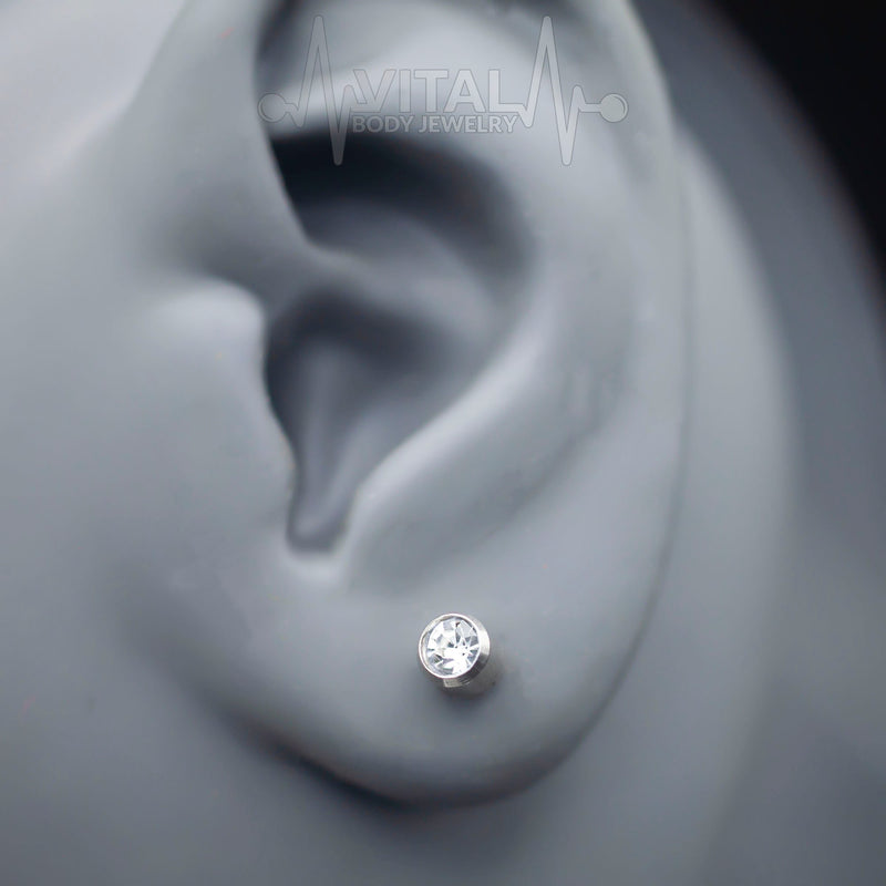 20G Surgical Steel Stud Earrings in Silver and Gold Color - Vital Body Jewelry