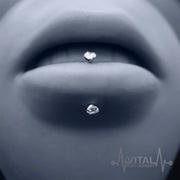 16G Titanium Eyebrow Ring, Internally Threaded, Curbed Barbell with Gem Ends - Vital Body Jewelry