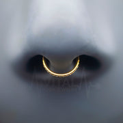 18G Hinged Nose Ring with CZ Paved Stones - Surgical Steel - Seamless Clicker