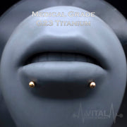 16G Implant Grade Titanium Labrets - Internally Threaded PVD Multicolored Coated - for Chin, Monroe, Ear Cartilage, and More