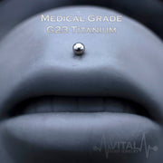 16G titanium labret stud with PVD multicolored coating and 3mm ball end for versatile lip and cartilage piercings