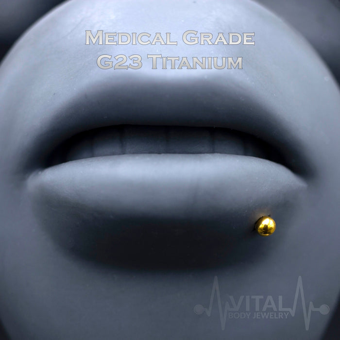 16G implant grade titanium labret stud with PVD multicolored coating, featuring a 3mm ball end for lip and cartilage piercings
