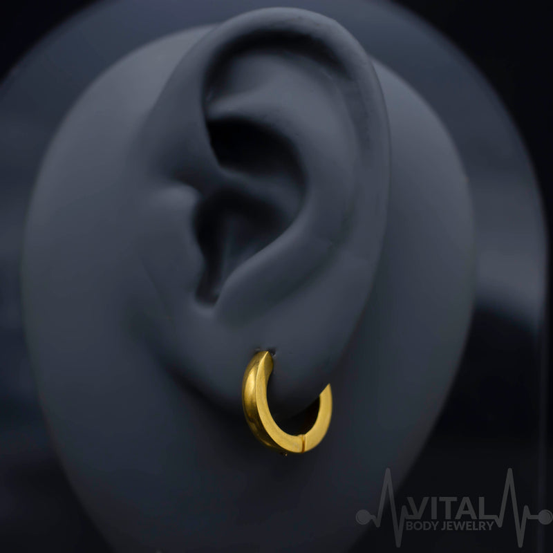 20G surgical steel hoop earrings with dome design, available in black, silver, gold, and rainbow options for comfortable everyday wear.