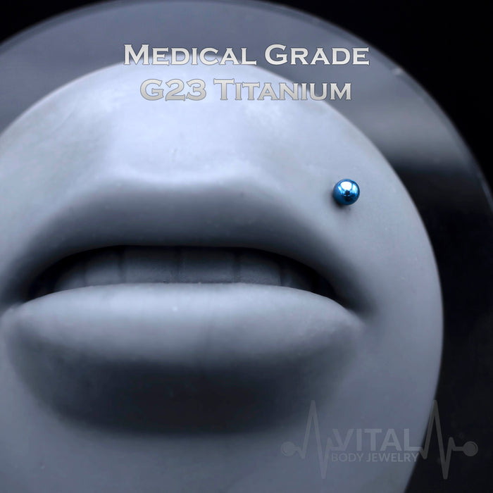 16G Implant Grade Titanium Labrets - Internally Threaded PVD Multicolored Coated - for Chin, Monroe, Ear Cartilage, and More