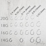 18G titanium hinged segment nose ring for effortless wear with a sleek silver finish and durable design