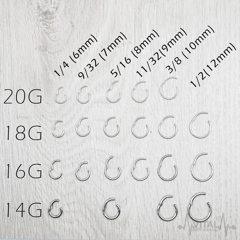 18G titanium hinged segment nose ring for effortless wear with a sleek silver finish and durable design