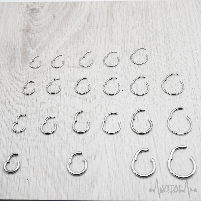 18G titanium hinged segment nose ring with sleek silver finish for effortless wear and versatility in styling.