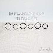 14G titanium hinged segment nose ring in black finish, featuring a sleek design for comfortable everyday wear